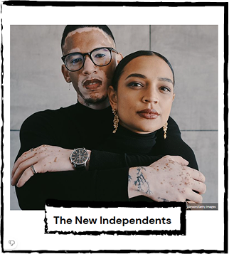 The New-Independents are a persona group that I feel benefit the most from anti food-waste products. This group is often described as eco-conscious, and ethically minded, so I feel that they would be drawn to products that help reduce food waste, and help the environment.